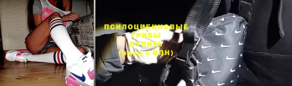 ешки Мегион