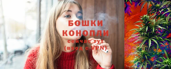 ешки Мегион