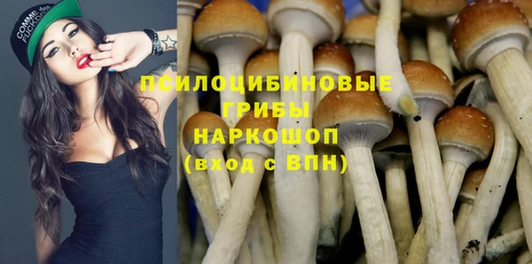 ешки Мегион
