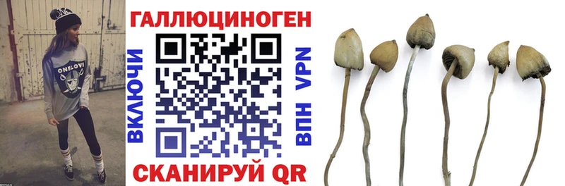 Псилоцибиновые грибы мицелий  Купить  Ладушкин 